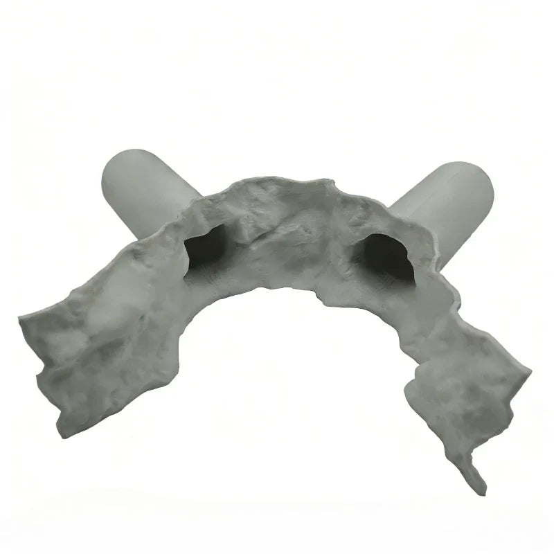 2-in-1 Water & Land Hiding Cave Tunnel for - ProPawPet.com
