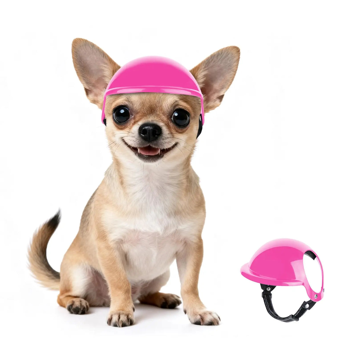 Dog Helmet Goggles Set Pet Safety Hat with - ProPawPet.com