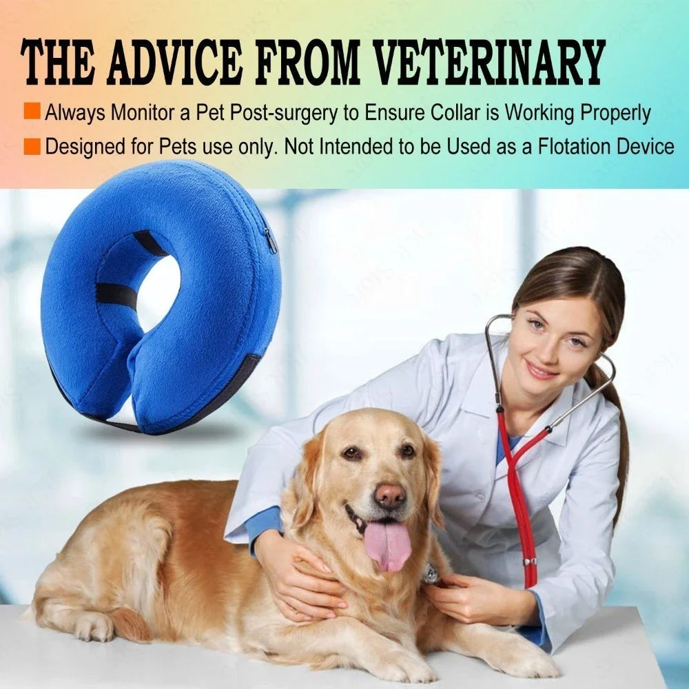 Inflatable Dog Recovery Collar Soft - ProPawPet.com