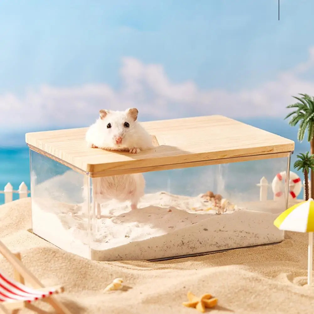 Acrylic Fully Transparent Large Pet Hamster - ProPawPet.com