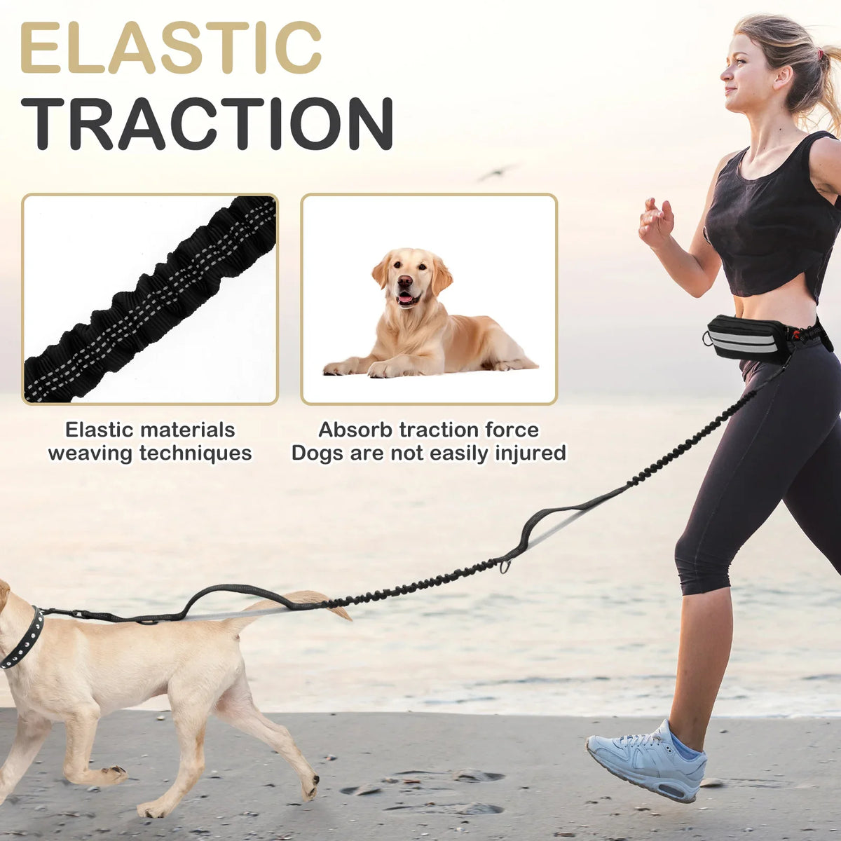 Hands Free Dog Leash for Running Walking - ProPawPet.com