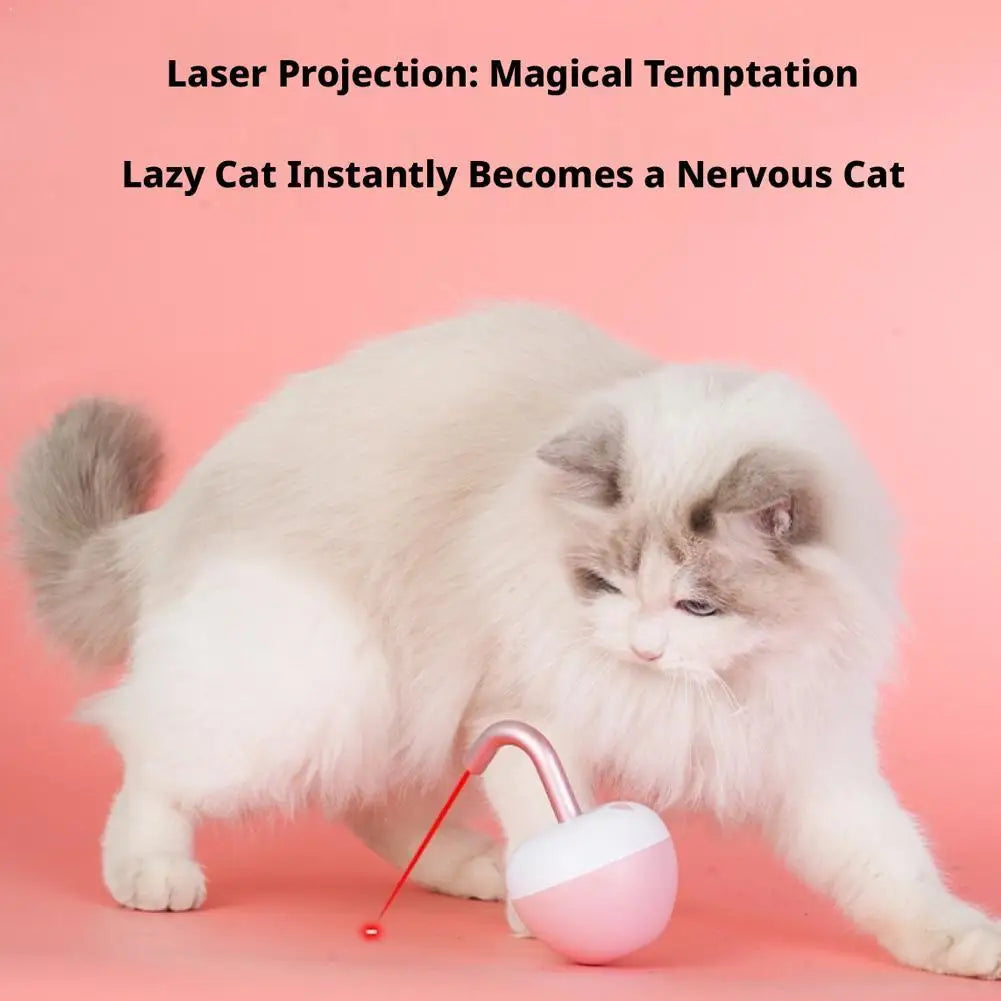 360 Cat Toy with Irregular Rotation Unstable - ProPawPet.com