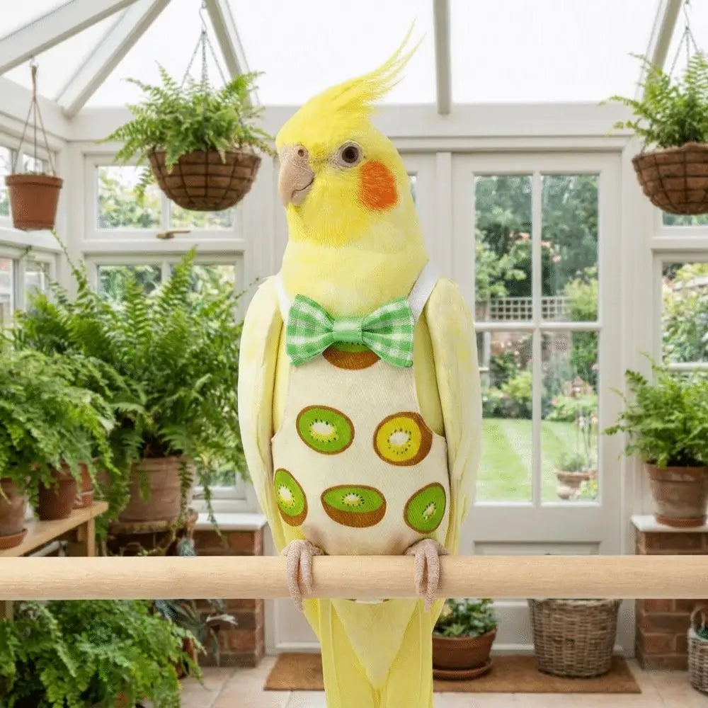 Pet Bird Apron Adjustable Pet Parrot Diaper - ProPawPet.com