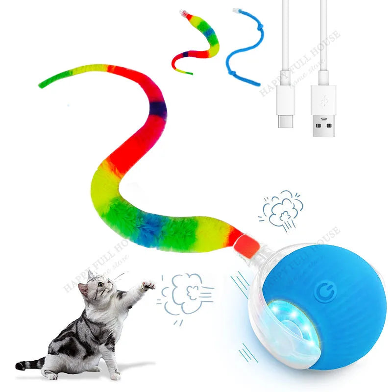 2 in 1 Cat Toy Interactive Ball – Cat Supplies