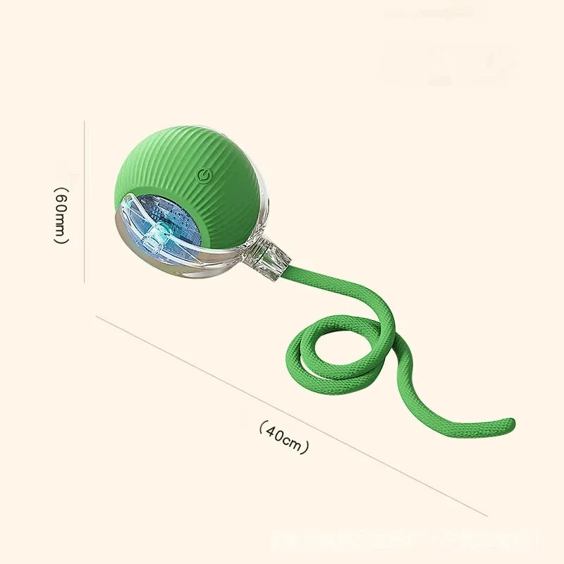 Rechargeable Dog Interactive Ball Toy – Dog Supplies