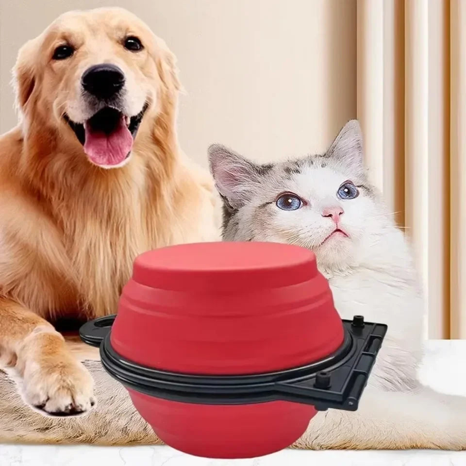 1-piece 2-in-1 Foldable Dual Bowl Feeding - ProPawPet.com