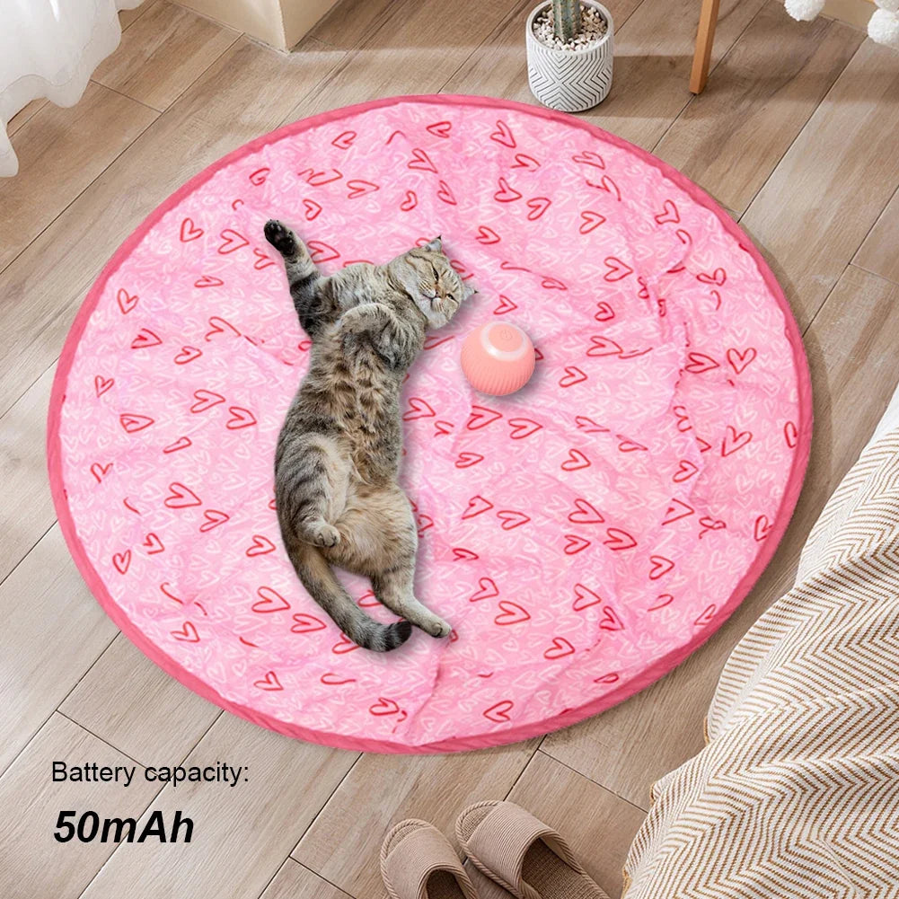 Cat Ball Hunting Exercise Mat Simulate Cat - ProPawPet.com