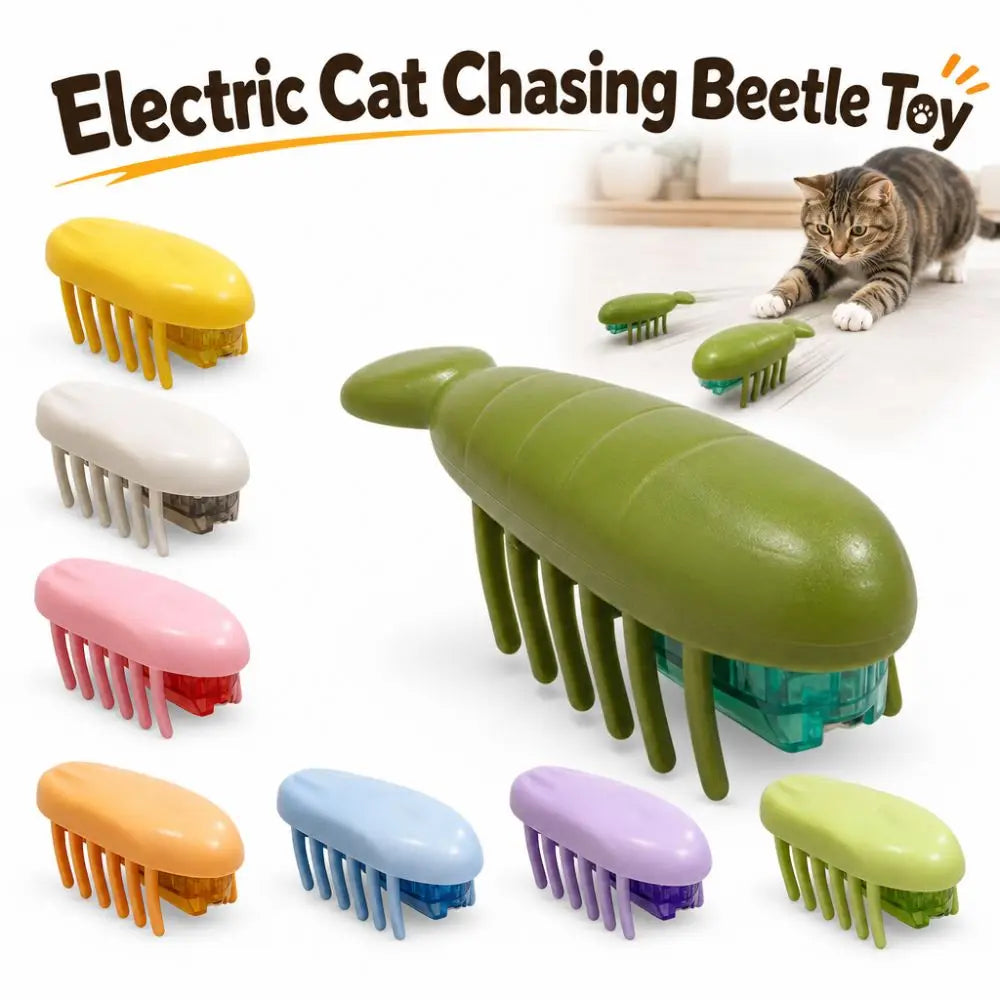 Interactive Play Electric Cat Chasing Beetle - ProPawPet.com