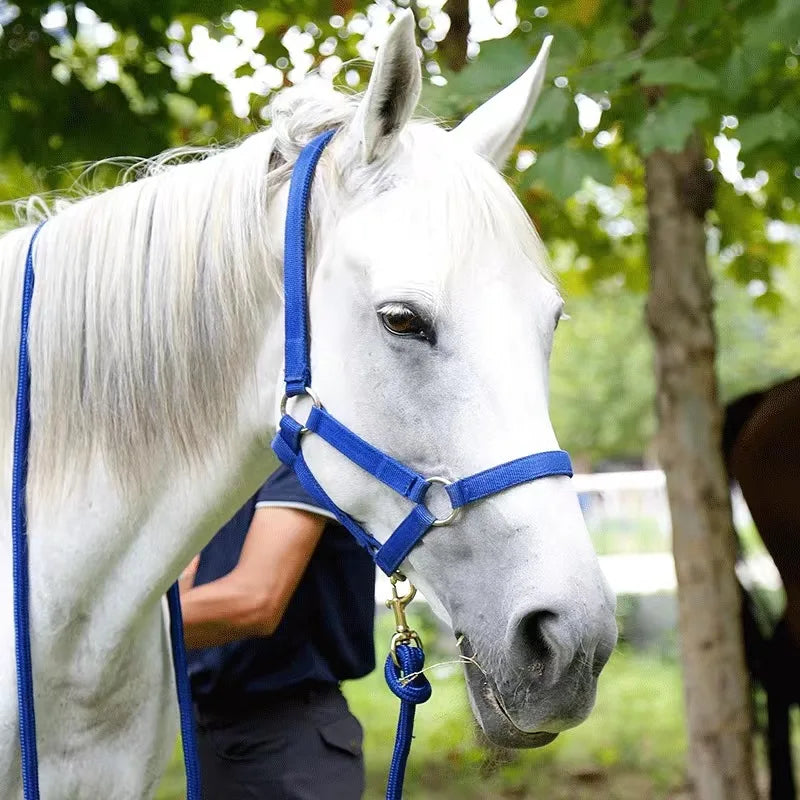 Horse Halter Protective Padded Adjustable - ProPawPet.com