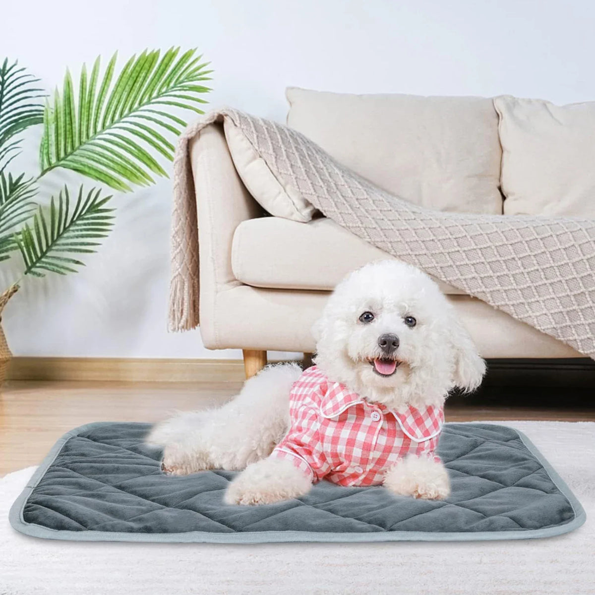Winter Soft Self Warming Cat Bed with - ProPawPet.com