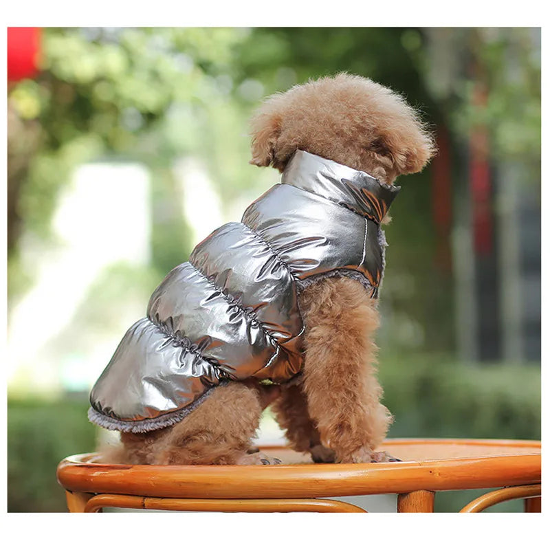 Winter Pet Dog Down Coat Fleece Warm Inside - ProPawPet.com