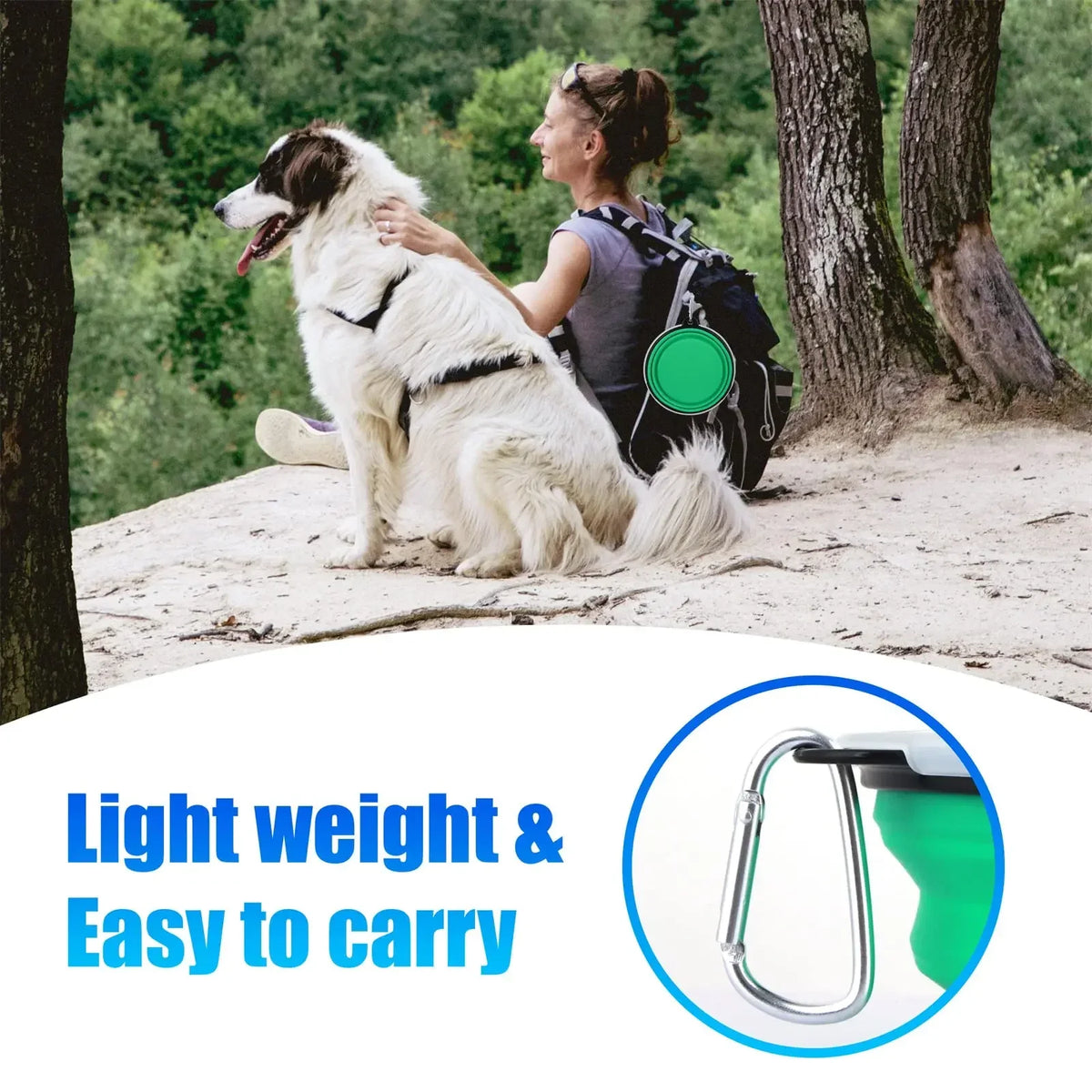 Foldable Silicone Dog Food Water Basin with - ProPawPet.com