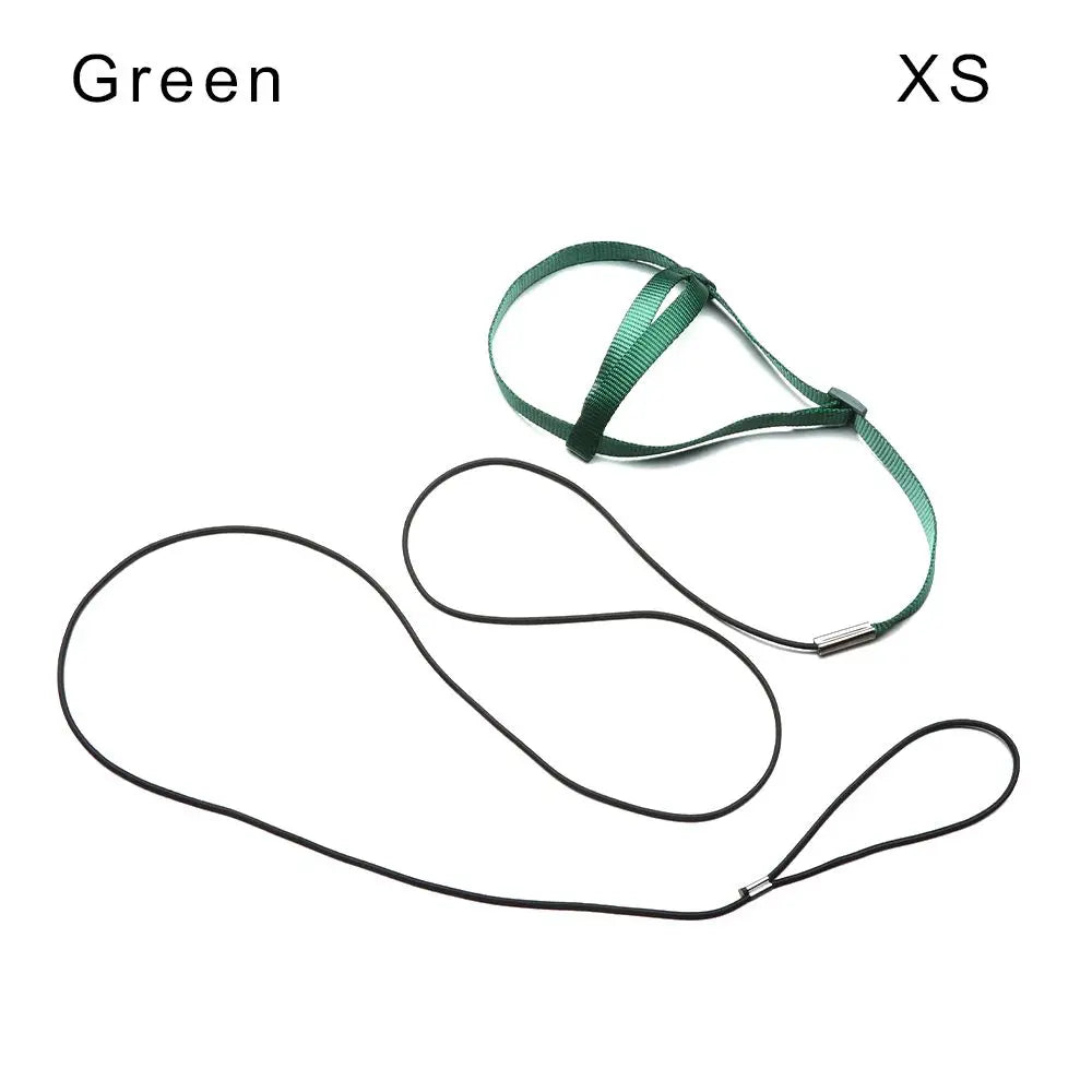 Anti-Bite Bird Harness Leash Set Parrot - ProPawPet.com