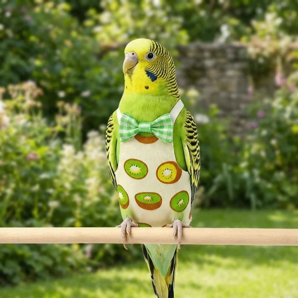 Pet Bird Apron Adjustable Pet Parrot Diaper - ProPawPet.com