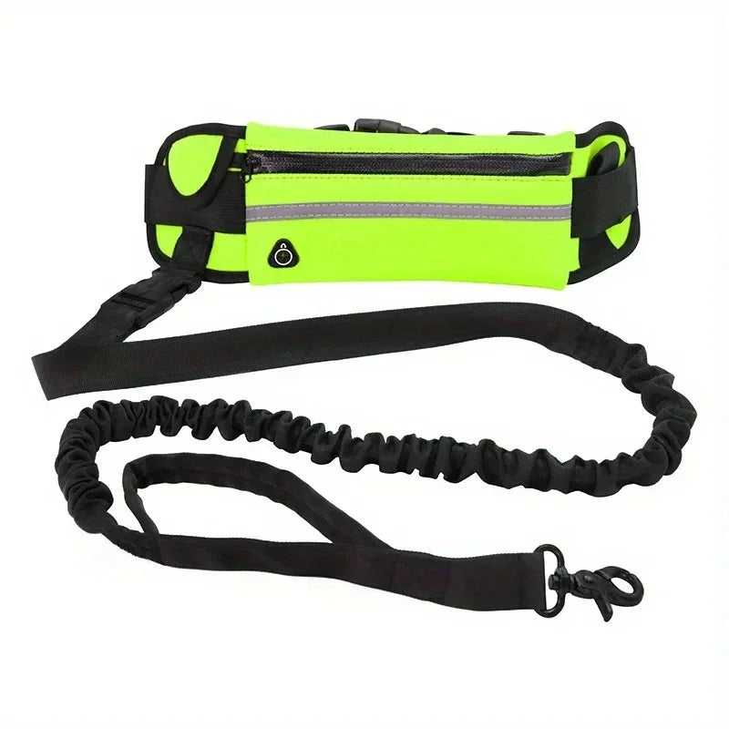 Personalized Dog Walking Collar Free Hands Leather Reflective, Adjustable