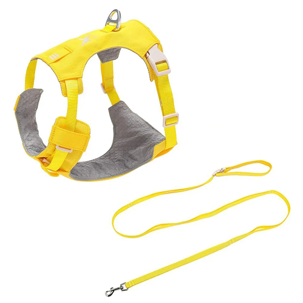 Lightweight Dog Harness & Leash Set - ProPawPet.com
