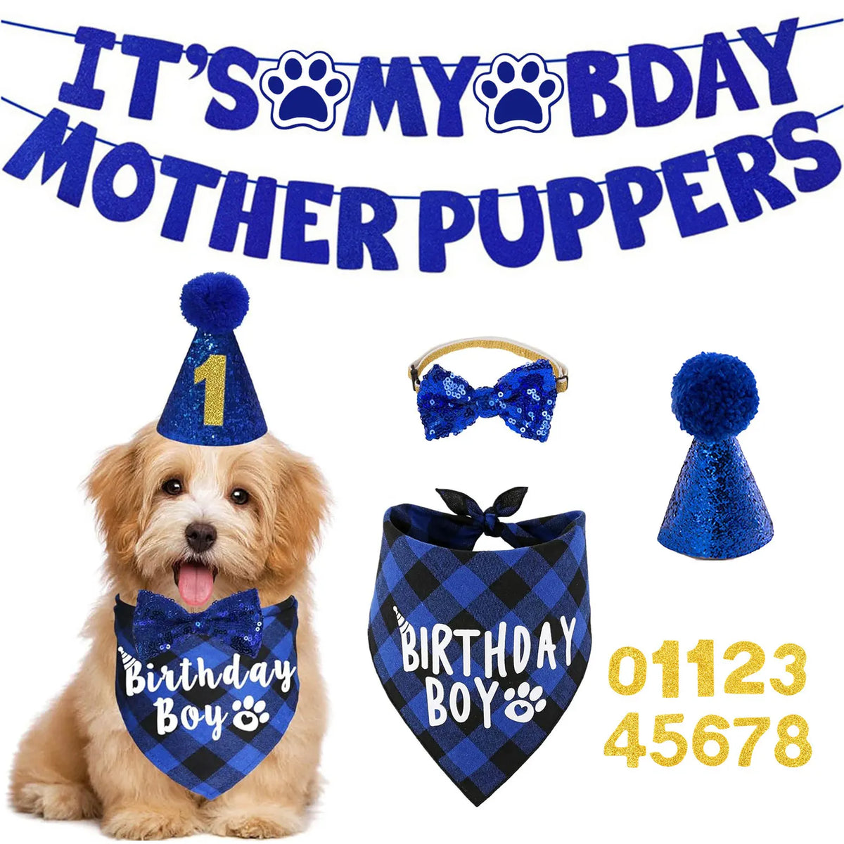 Dog Birthday Party Kit - Bandana, Hat, Bow - ProPawPet.com