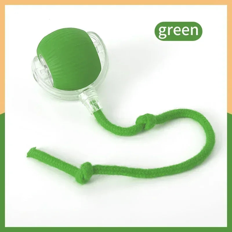 New Interactive Cat Toys Ball Auto Electric - ProPawPet.com