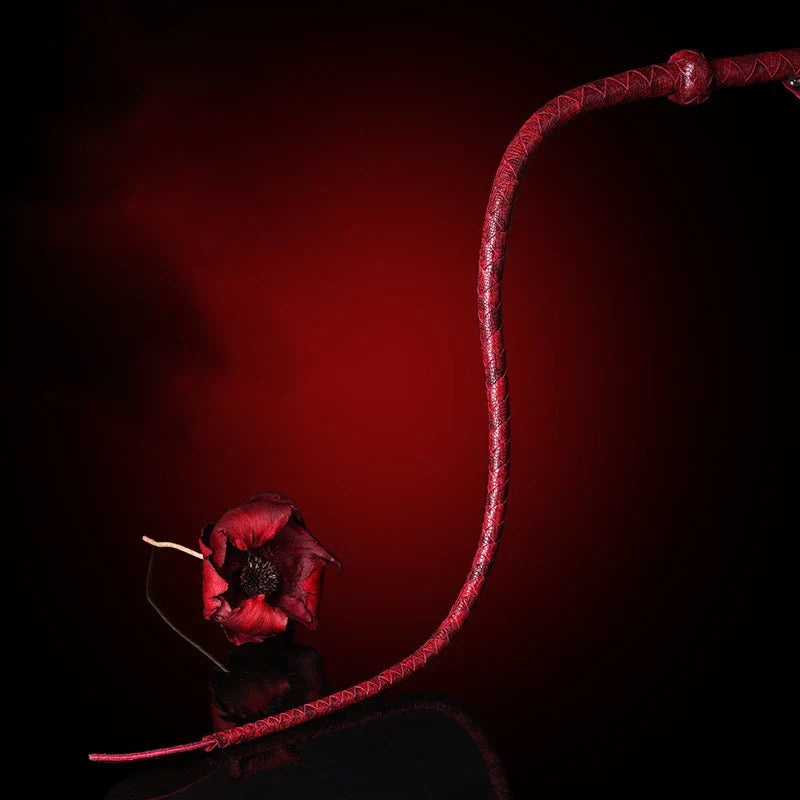 Red Cowhide Leather Horsewhip Training Crop – Horse Supplies