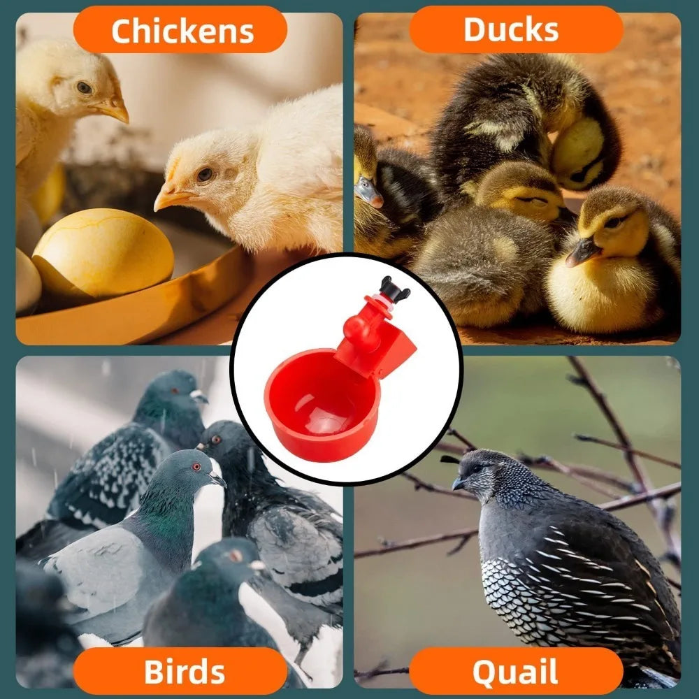 6-36pcs Automatic Chicken Waterer Bird - ProPawPet.com