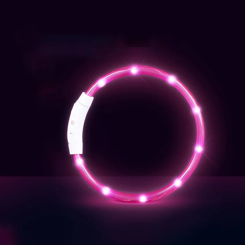 Pet Dog Cat LED Light Collar Luminous - ProPawPet.com