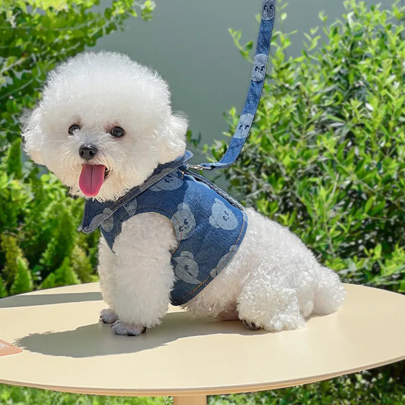 Denim Dog Harness and Lesh Set Pet Clothes - ProPawPet.com