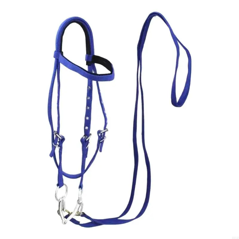 Comfortable Luxurious Leather Horse Headstall Headgear – 6 Colors