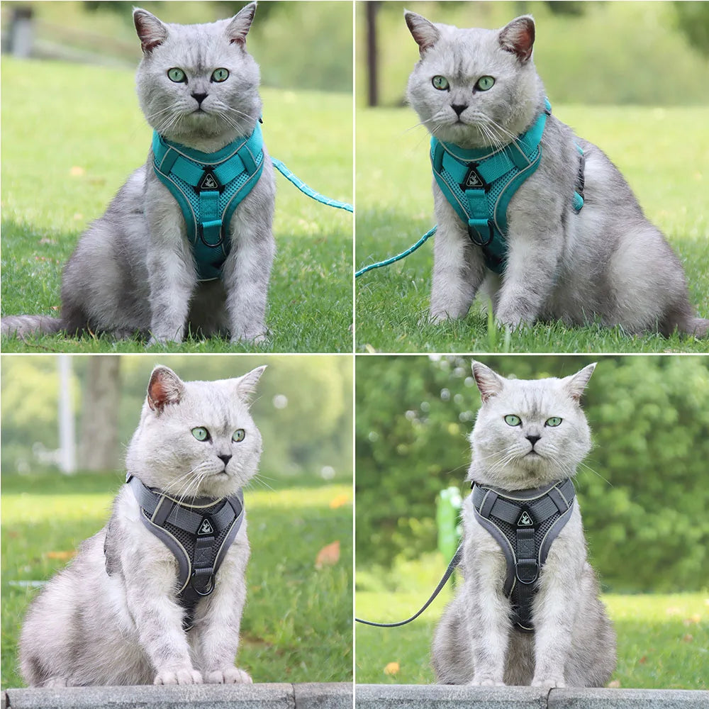 Harness and Leash Set Pet Accessories Dog - ProPawPet.com