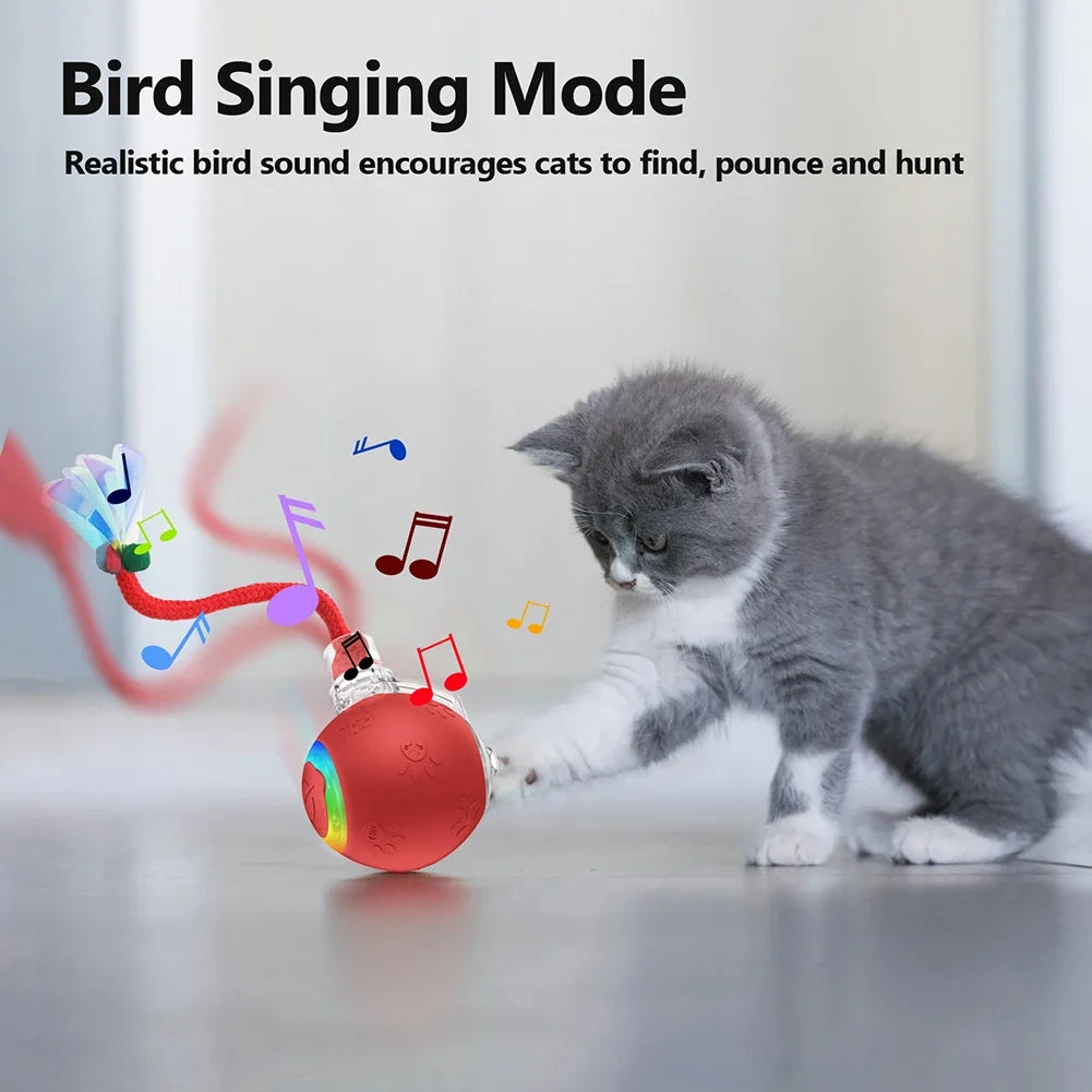 Interactive Cat Toy Ball Motion Activated - ProPawPet.com