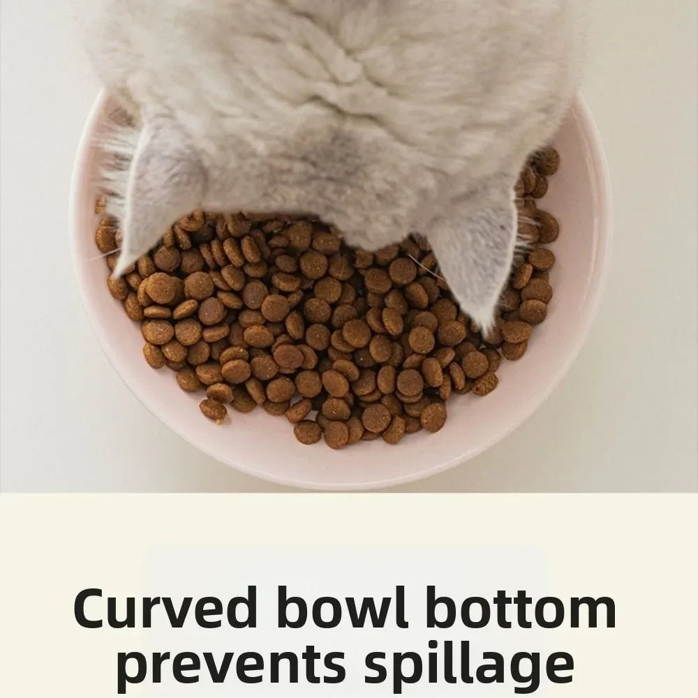 Creative Ceramic Cat Bowl Cute Large - ProPawPet.com