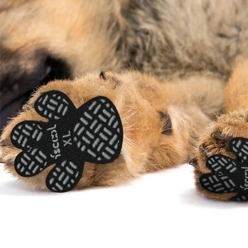 Heavy-Duty Dog Paw Grips - 4 Pack with - ProPawPet.com
