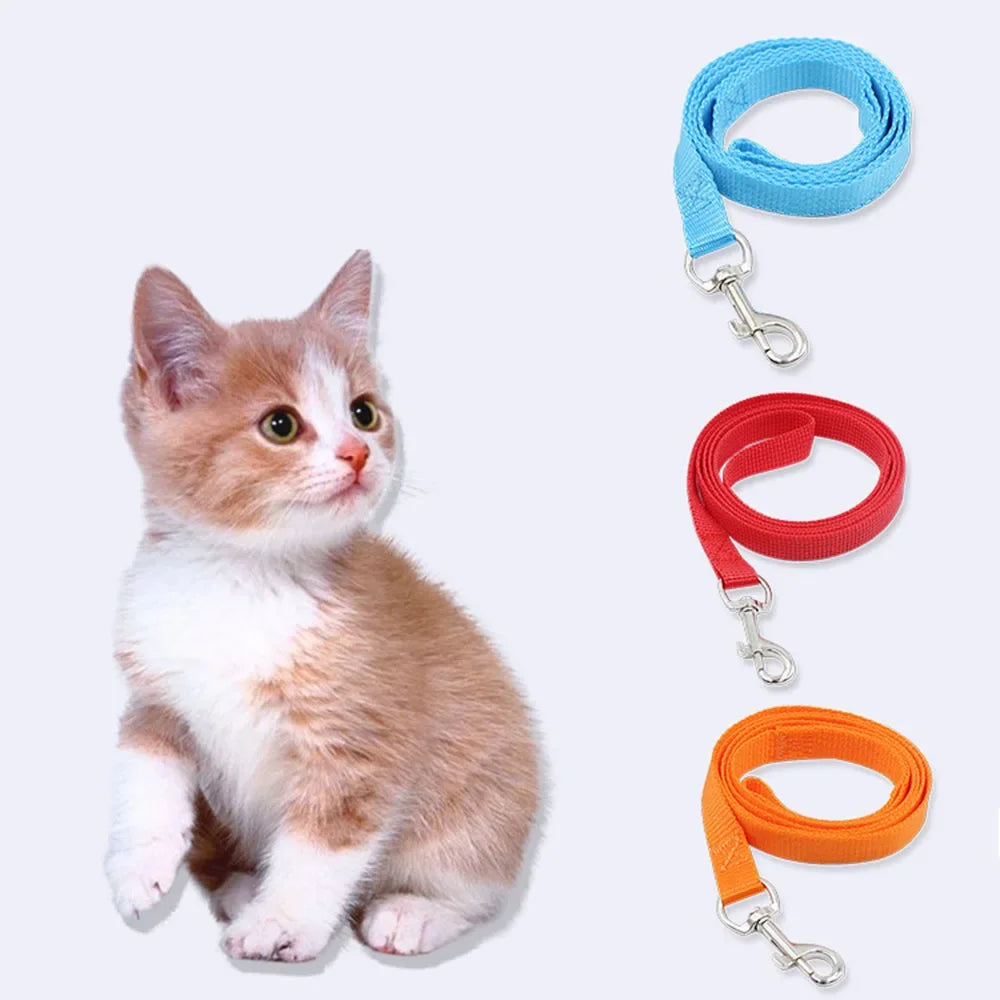 Nylon Dog Leash for Small Dogs and Cats - ProPawPet.com
