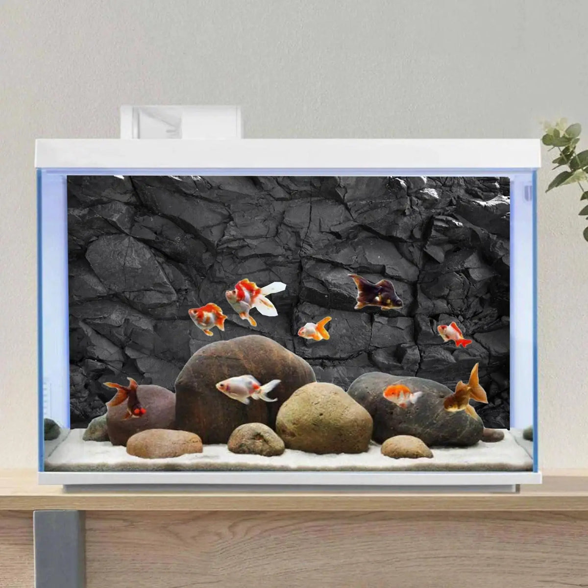Black Rock, Fish Tank Background Painting, - ProPawPet.com