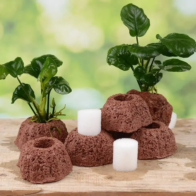Aquatic Water Plant Fixed Rings Landscape - ProPawPet.com