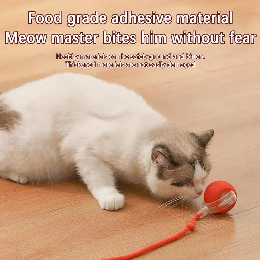 1/2PCS Interactive Cat Toys Ball Auto - ProPawPet.com