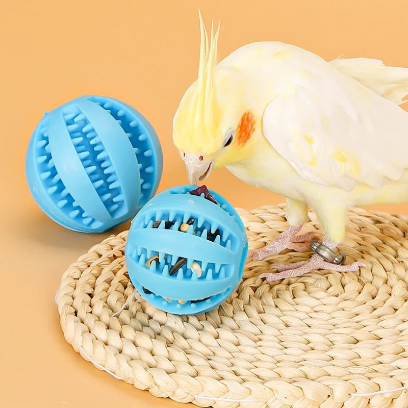 2Pack Bird Foraging Toys Parrot Chew Treat - ProPawPet.com