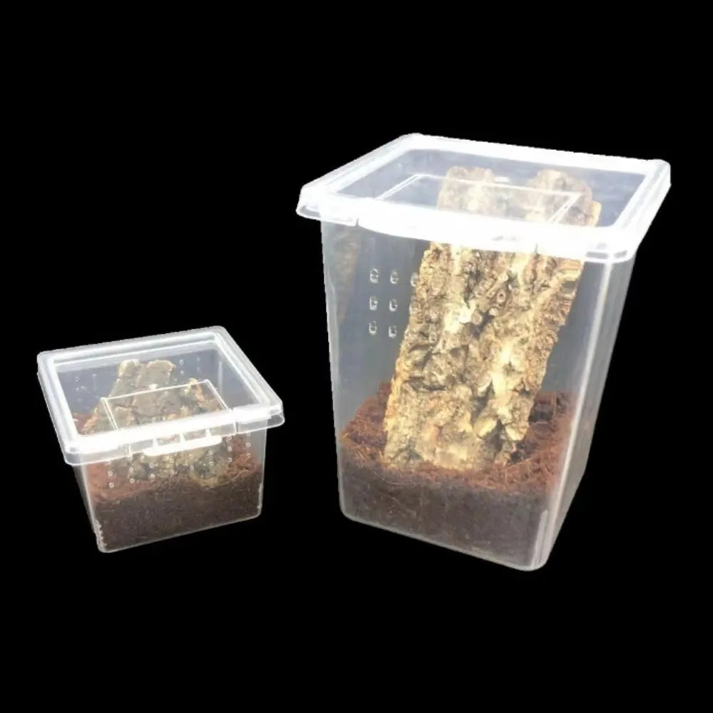 Clear Plastic Reptile Living Box Insect - ProPawPet.com