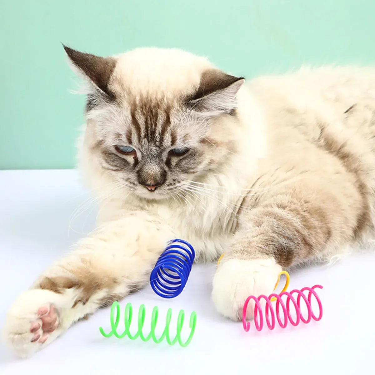 4-200 Pcs Cat Toys Interactive Durable Heavy - ProPawPet.com