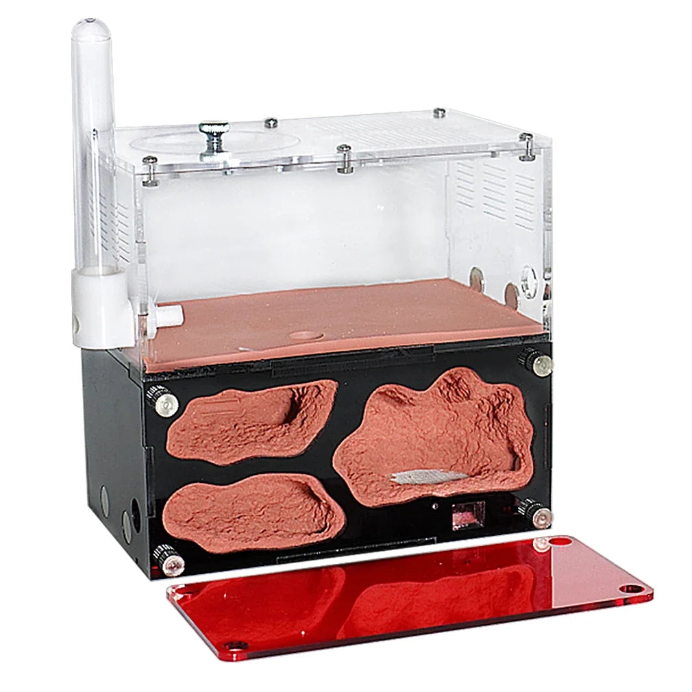 Acrylic Ant Farm Temperature Control - ProPawPet.com