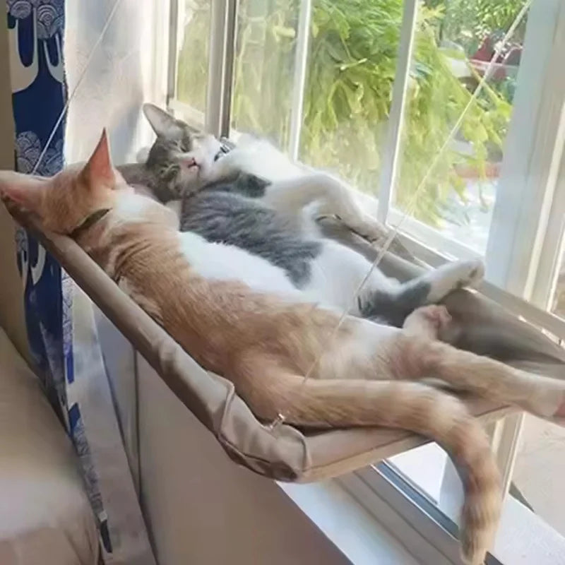 Pet Cat Hammock Aerial Hanging Cat Bed Sunny - ProPawPet.com