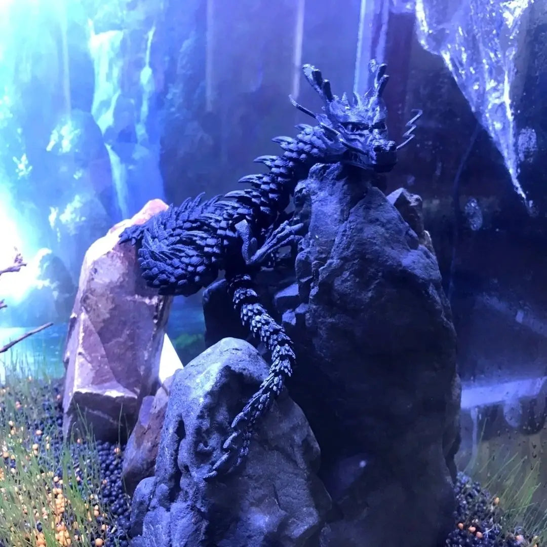 Laser Holographic 3D Printed Dragon Aquarium - ProPawPet.com