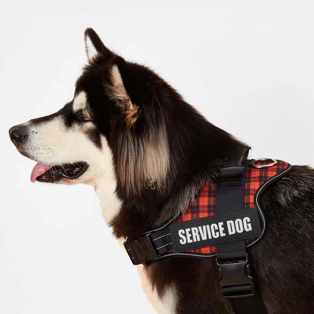 Reflective Dog Harness Vest Patch ID - ProPawPet.com