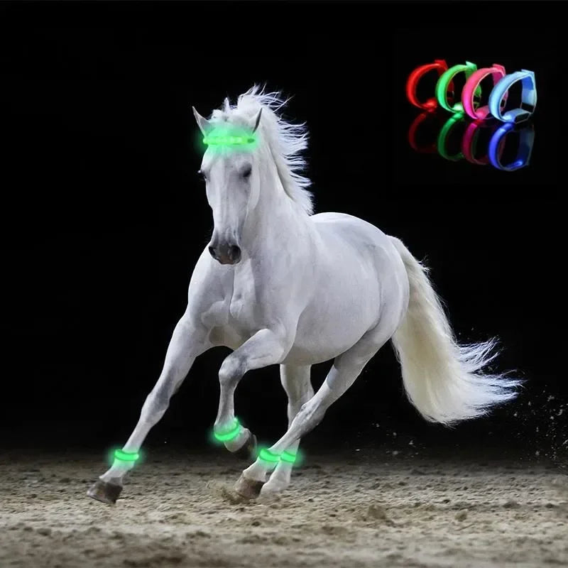 4PCS LED Horse Riding Equipment Leggings - ProPawPet.com