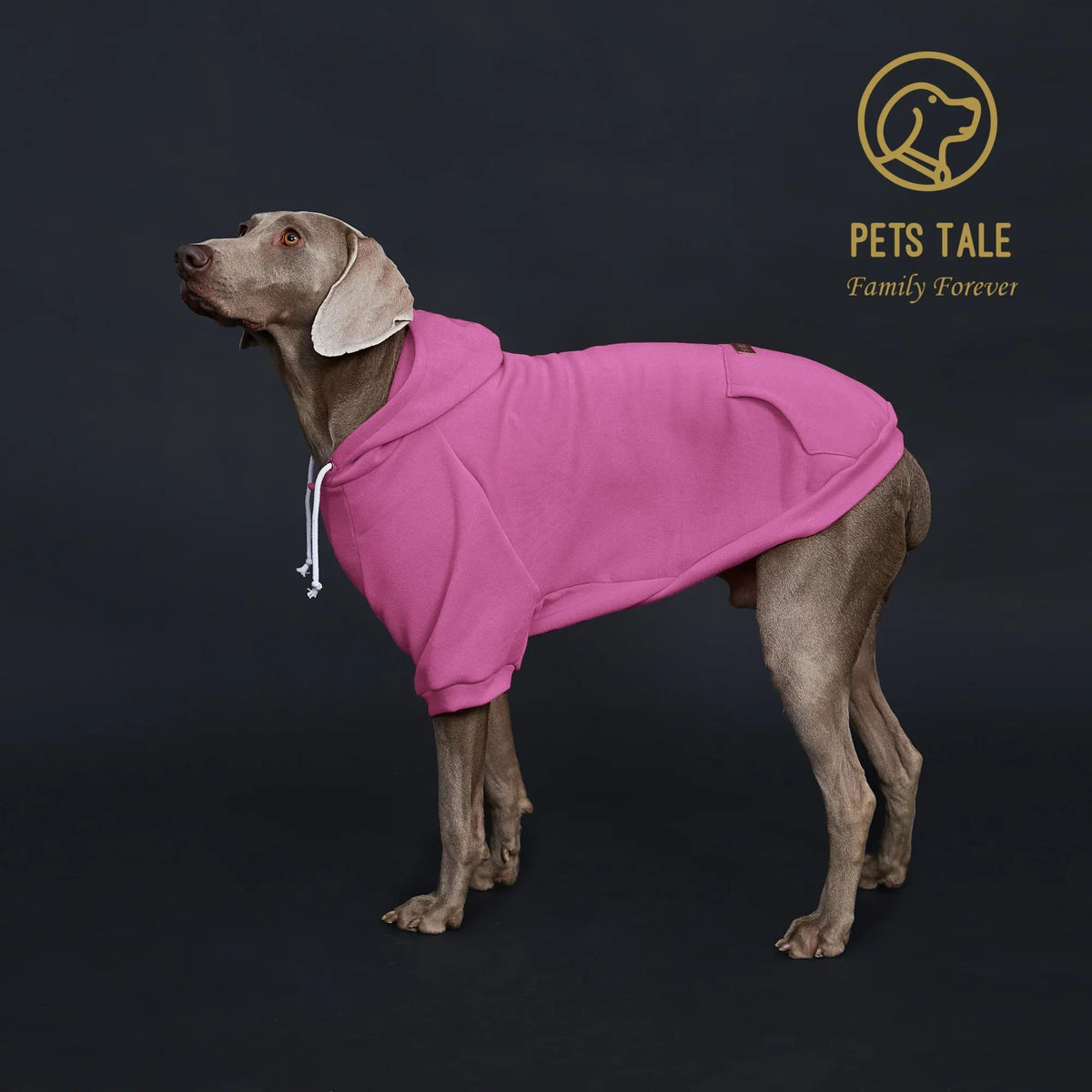 Solid Color Dog Hoodie with Pocket, Leather - ProPawPet.com