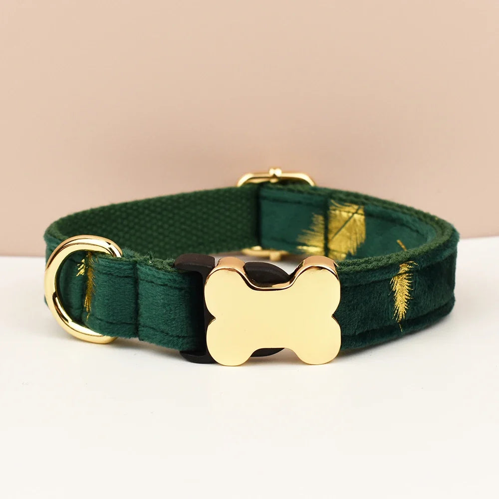 Premium Custom Engraved Dog Collar for Small - ProPawPet.com