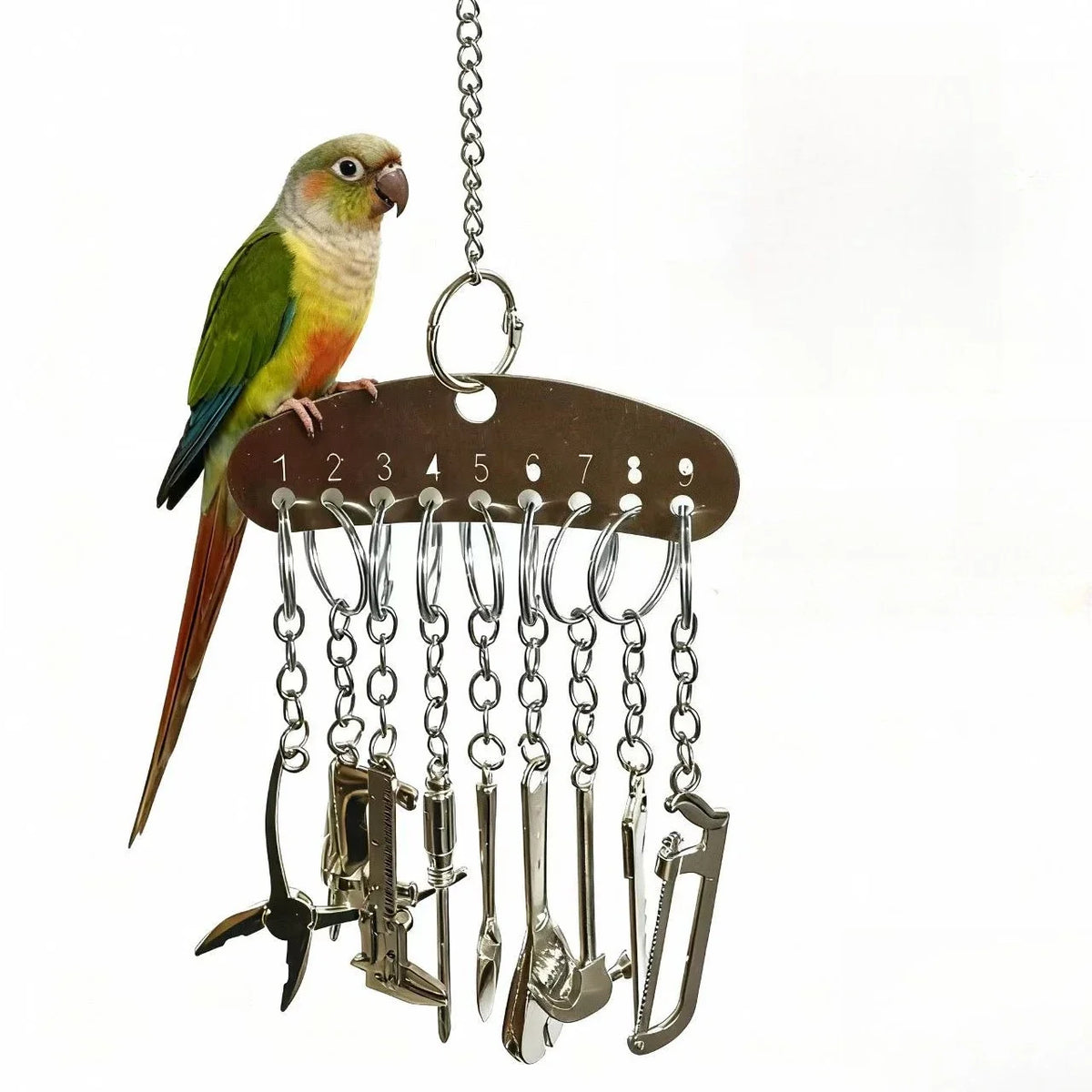 Bird Toy Stainless Steel Parrot Puzzle Toy - ProPawPet.com