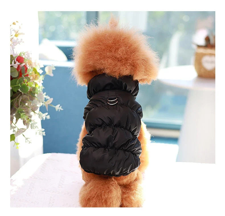 New Model Pets Winter Jacket Winter Dog Cat - ProPawPet.com