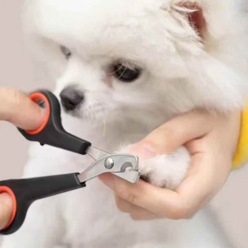 Pet Nail Clippers for Dogs Cats Puppy - - ProPawPet.com