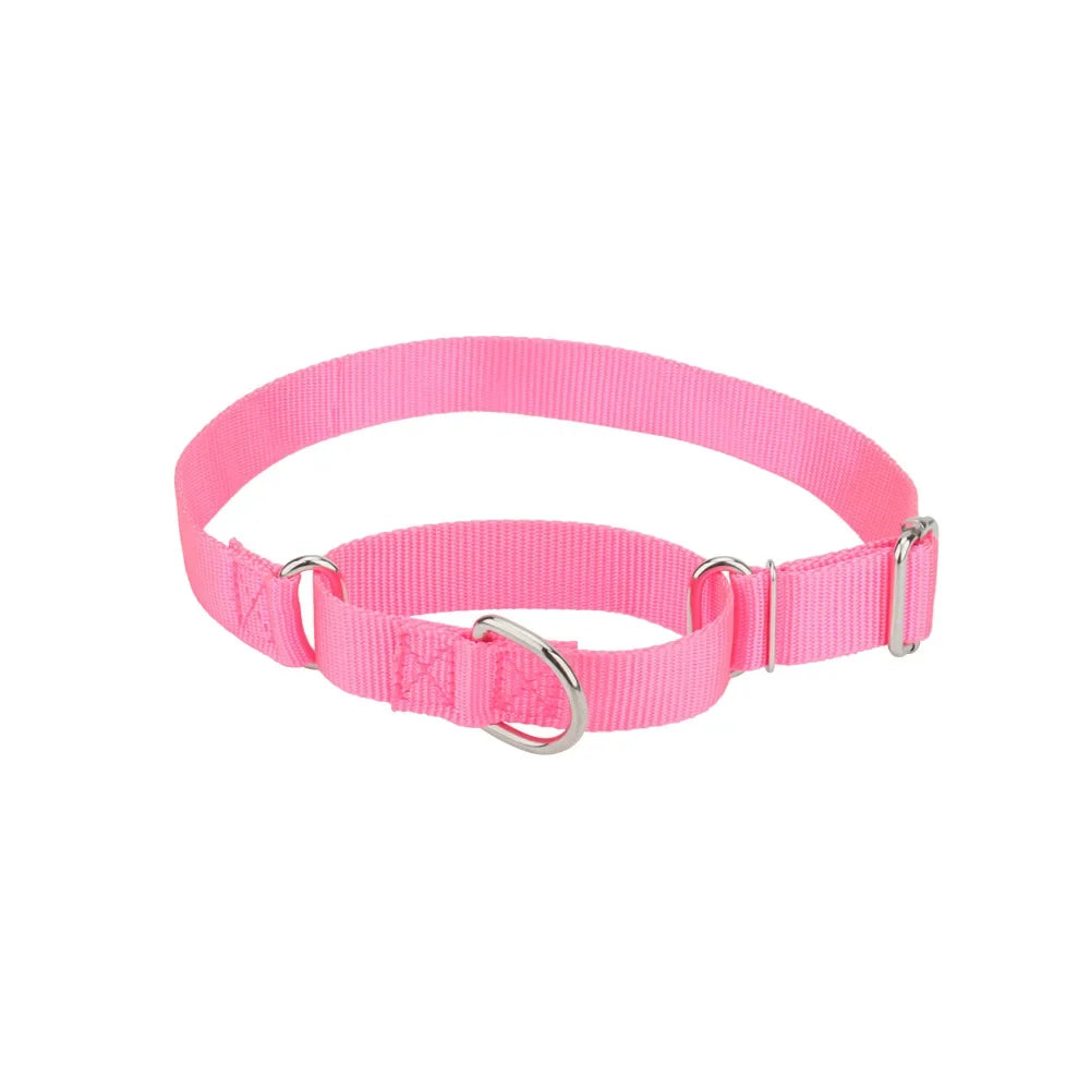 Martingale Collar for Dogs,Dog Collar with - ProPawPet.com