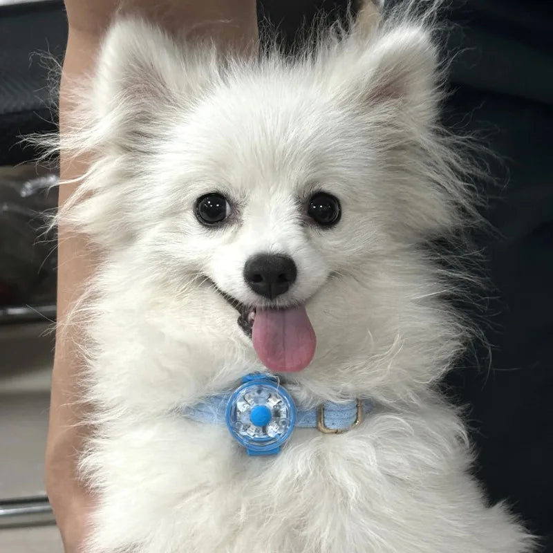 LED Light Dog Collar USB Charging Glowing - ProPawPet.com